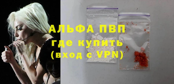 сатива Гусев