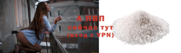 сатива Гусев