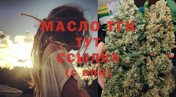 сатива Гусев