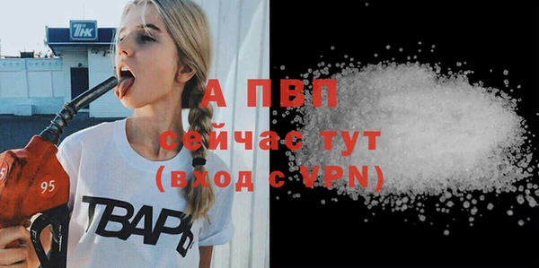 сатива Гусев