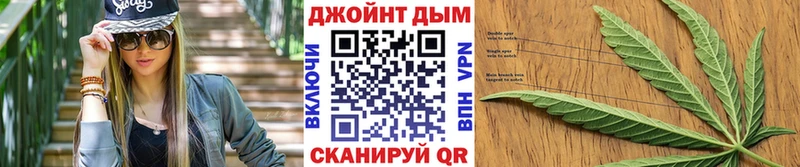 Купить где  Козловка  Конопля планчик 